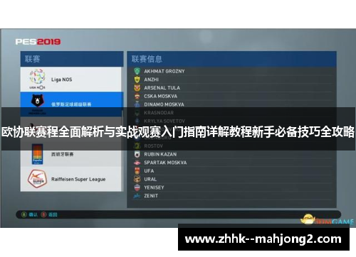 欧协联赛程全面解析与实战观赛入门指南详解教程新手必备技巧全攻略